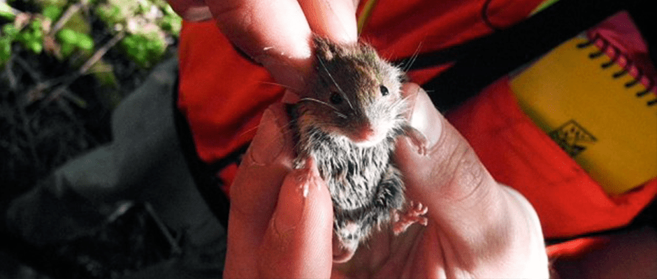 Paul Smith’s College in New York